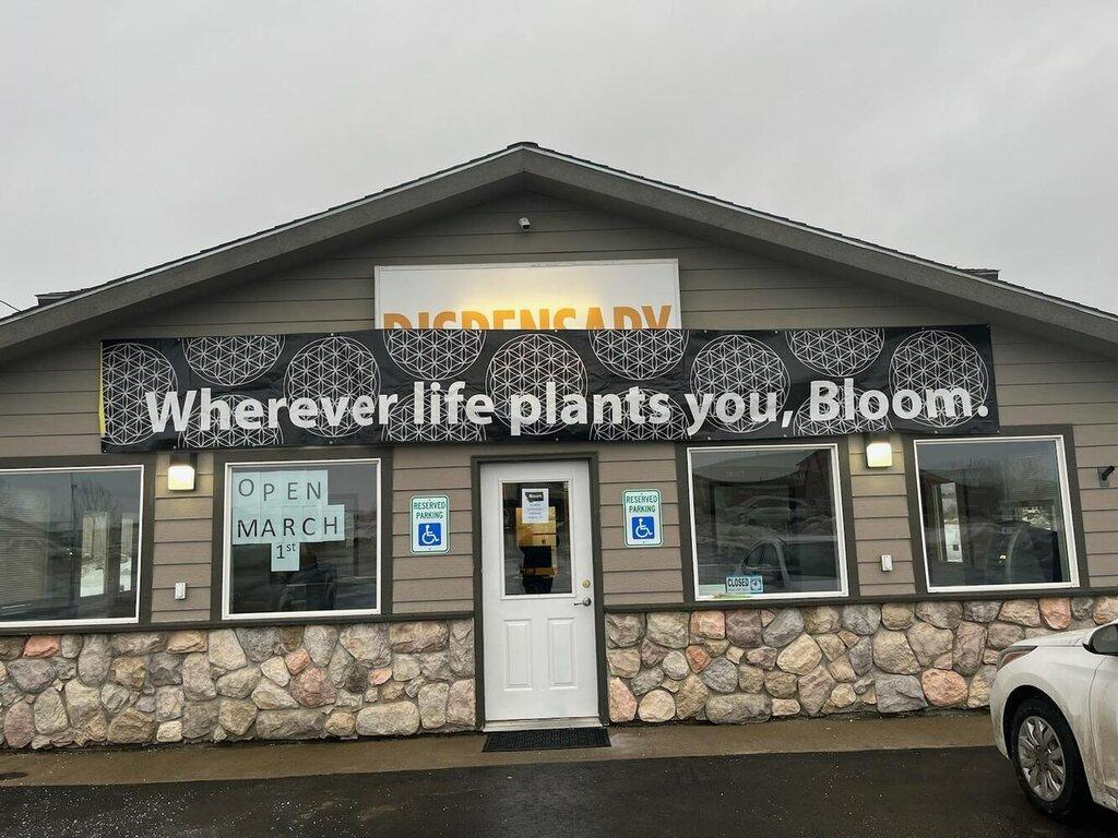 Bloom Weed Dispensary Columbia Falls