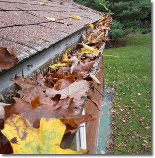 Alpine Gutters & Downspouts, Inc