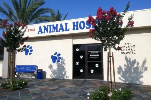 Upland Animal Hospital