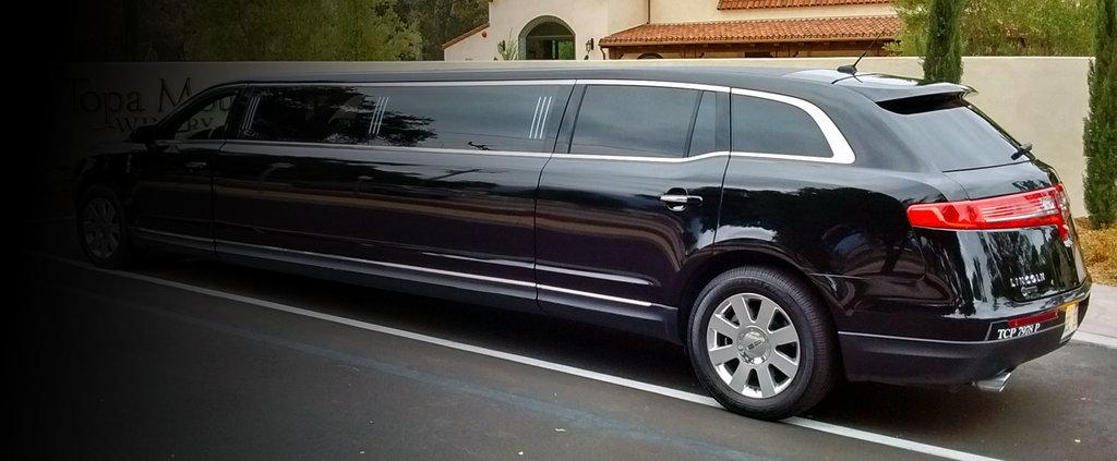 Executive Limousine-Coach-Elc