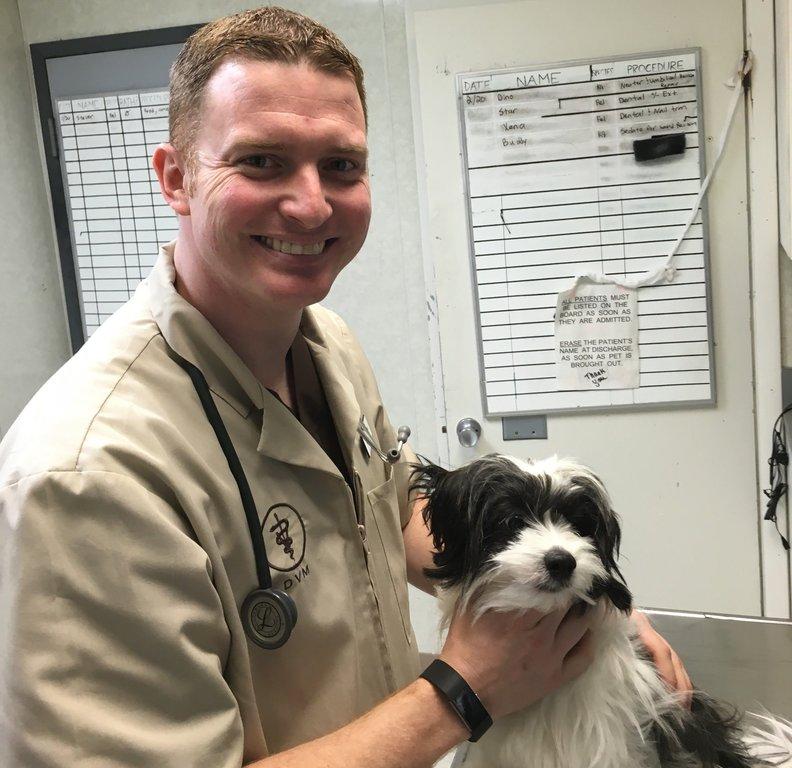 Fullerton Animal Hospital