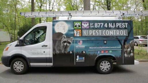 NJ Pest Control