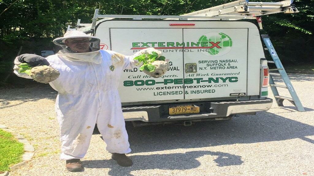 Exterminex Pest Control