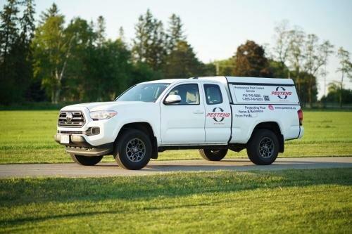 Pestend Pest Control Ottawa