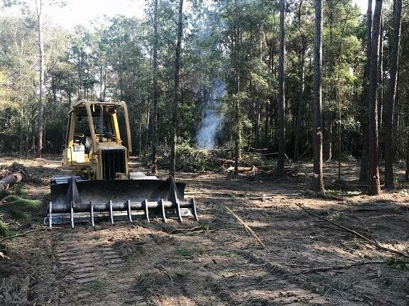 Lake Mary Tree Service