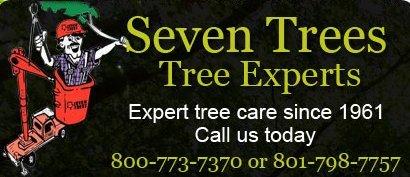 Seven Trees Co Tree Experts