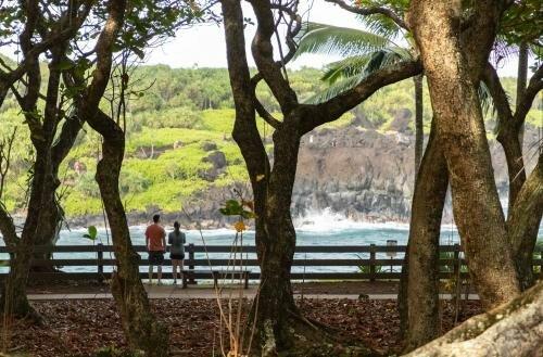 Road To Hana Tours