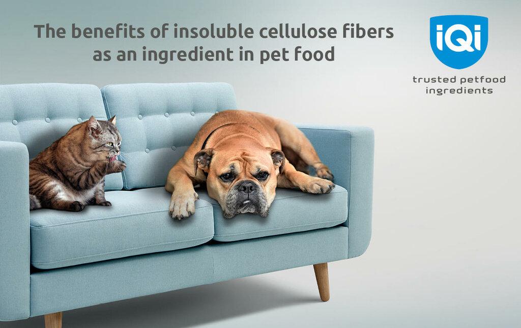 Iqi Trusted Petfood Ingredients