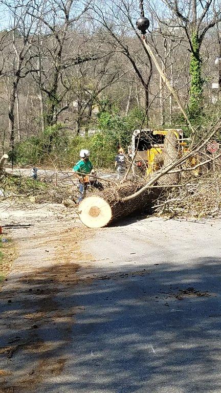 Robertsons Tree Service