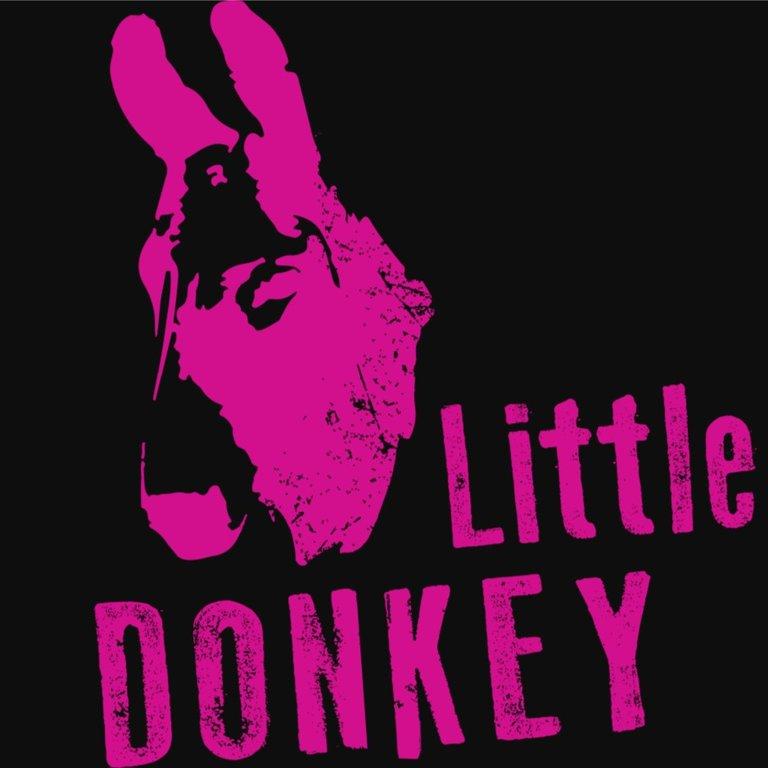 Little Donkey