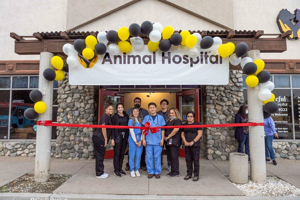 Graceful Animal Hospital