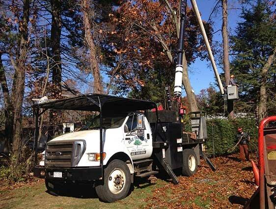 Edge Tree Service Inc.