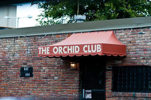 Orchid Club