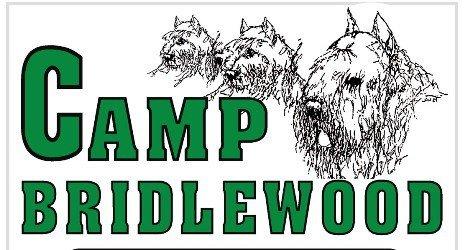 Camp Bridlewood Kennels