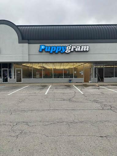 Puppygram Indiana