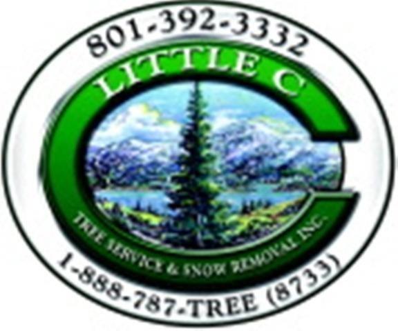 Little C Tree Service & Snow Removal Inc