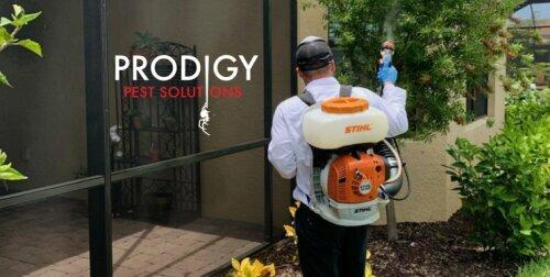 Prodigy Pest Solutions