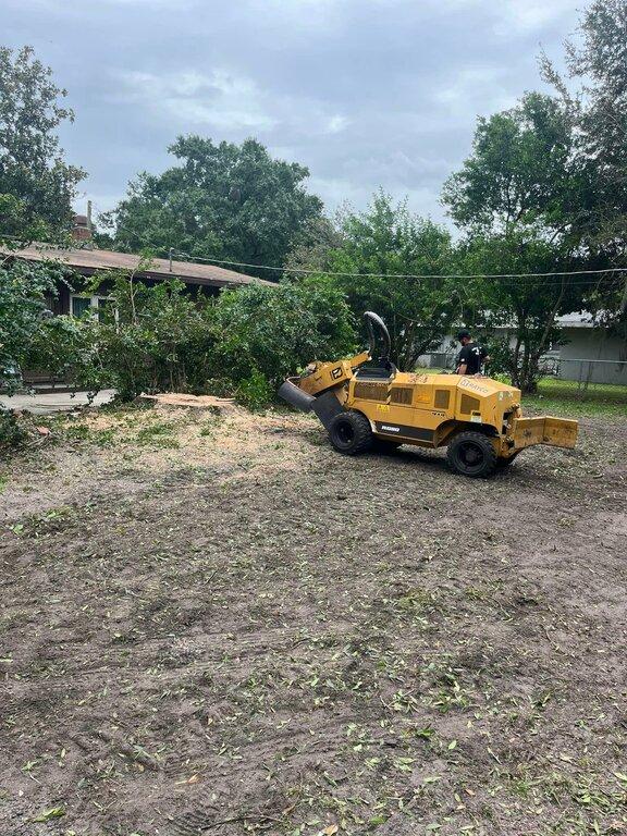 A Better Cut Tree Service