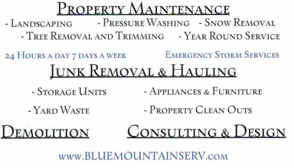 Blue Mountain Services, LLC