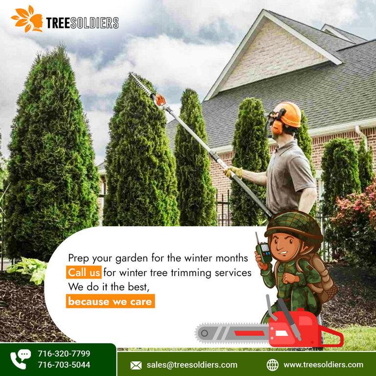 Tree Soldiers-Tree Service Clarence NY