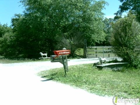 Fallen Pine Ranch Miniature Horses