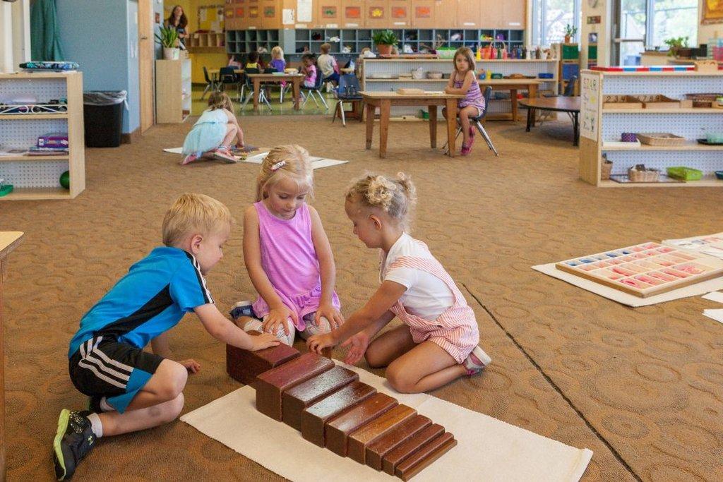 Step By Step Montessori Schools