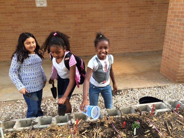 Boys-Girls Club-Georgetown TX