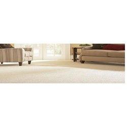 Carpet Cleaning By Metron