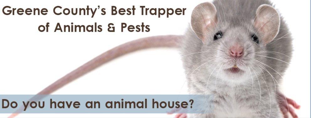 Wildlife Nuisance Trap & Transport Specialist