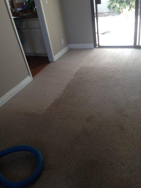 Dr Carpet Newport Beach