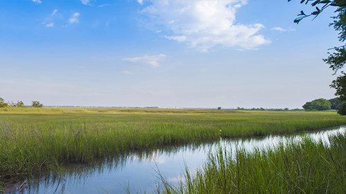 The Oaks Marsh View By John Wieland Homes & Neighborhoods