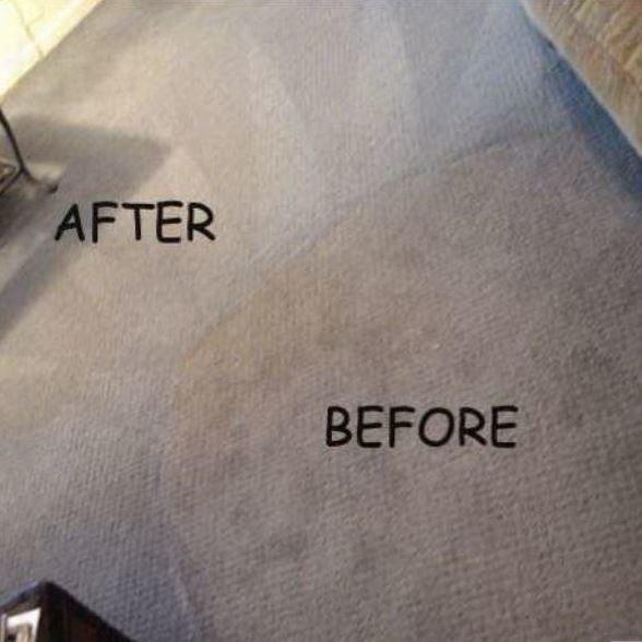 The Stain Pros Carpet Cleaning Co