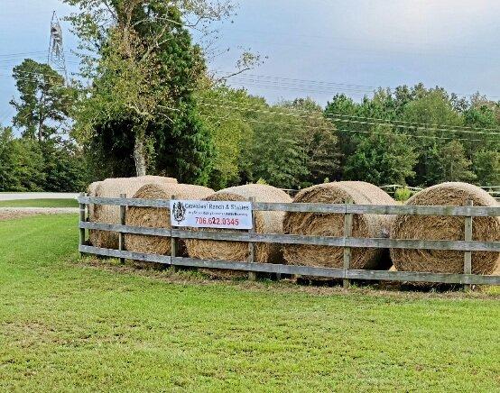 Cloverleaf Ranch & Stables