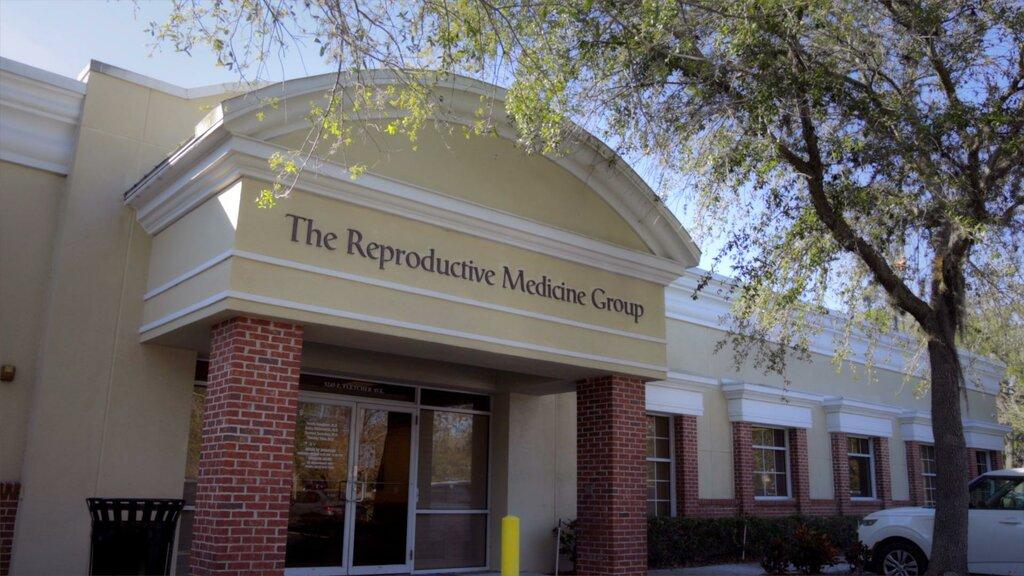 The Reproductive Medicine Group