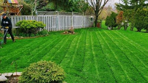 Dependable Lawn Care