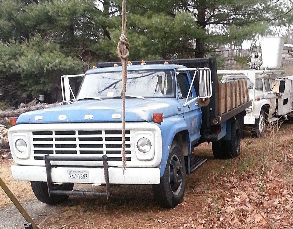 Mark's Tree & Stump Removal