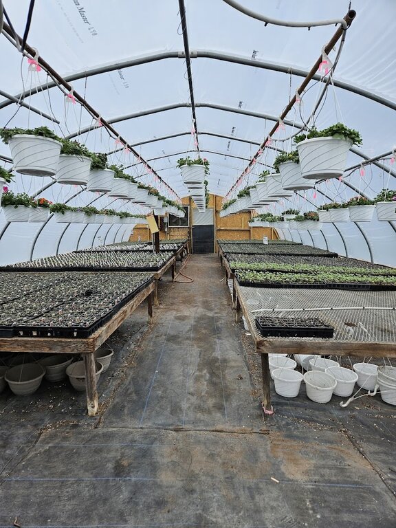 In the Garden Greenhouses