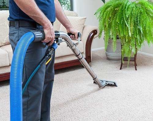 All American Carpet Cleaning