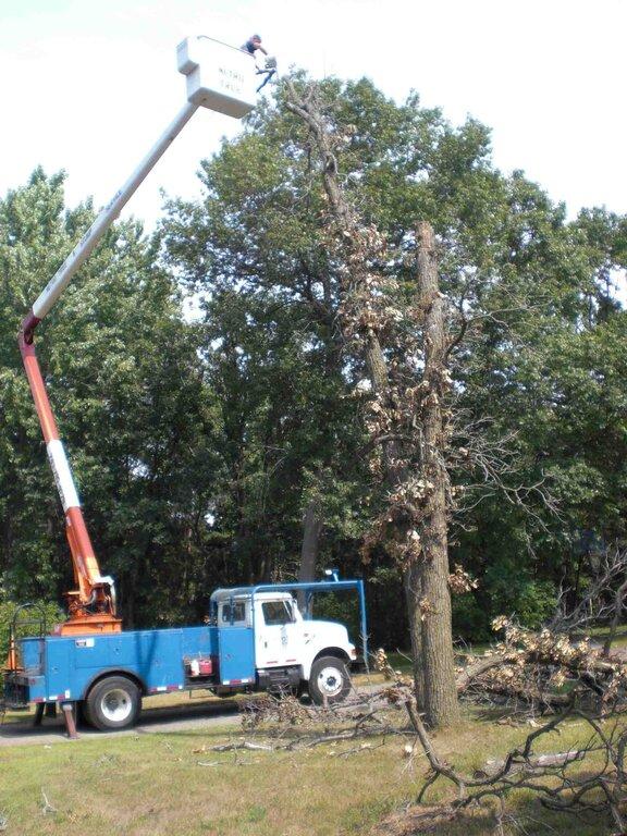 Metro Tree and Stump Service