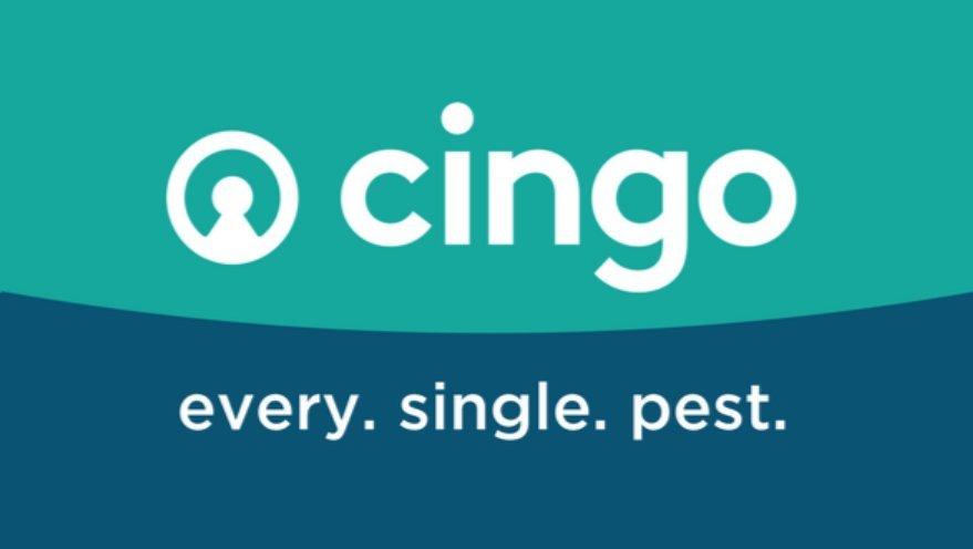 Cingo