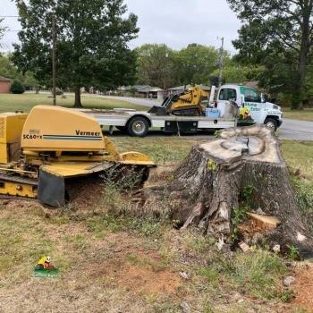 Stump Eater Tree Service