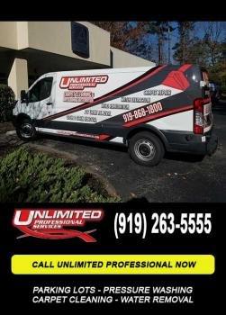 Unlimited Professional Services