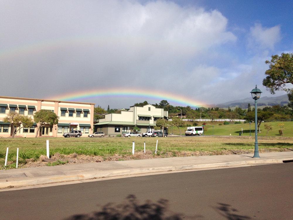 Body Wellness Hawaii