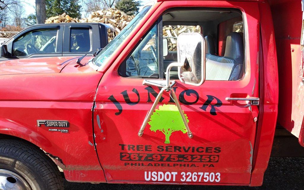 Junior Tree Service