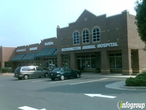 Weddington Physical Therapy And Wellness