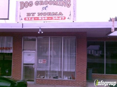 Dog Grooming By Norma