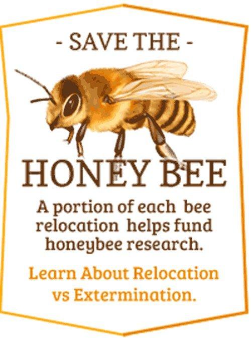 Oakley Live Honey Bee Removal