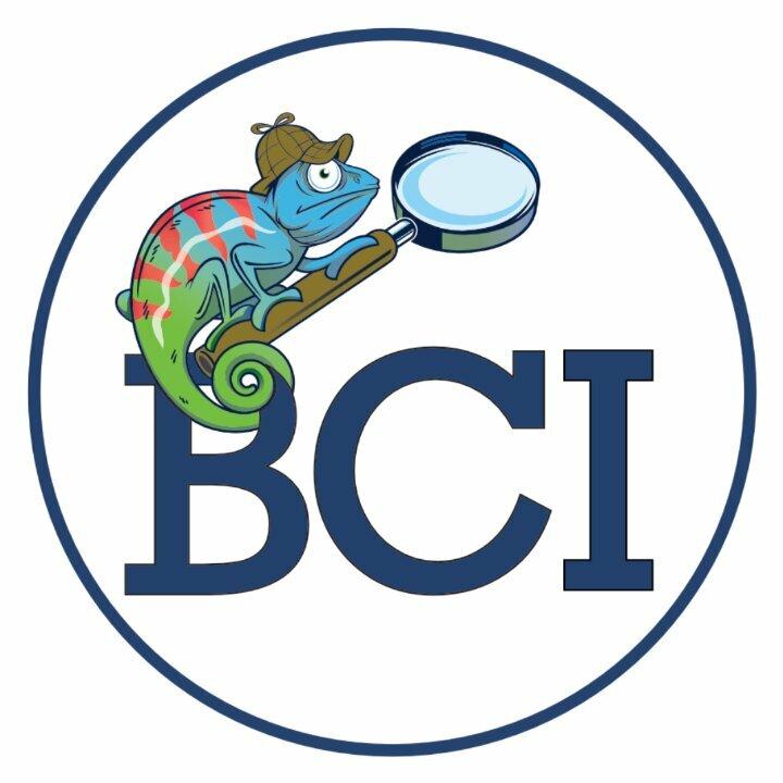 Blue Chameleon Investigations