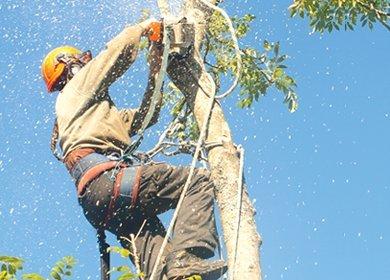 Mac's Tree Service