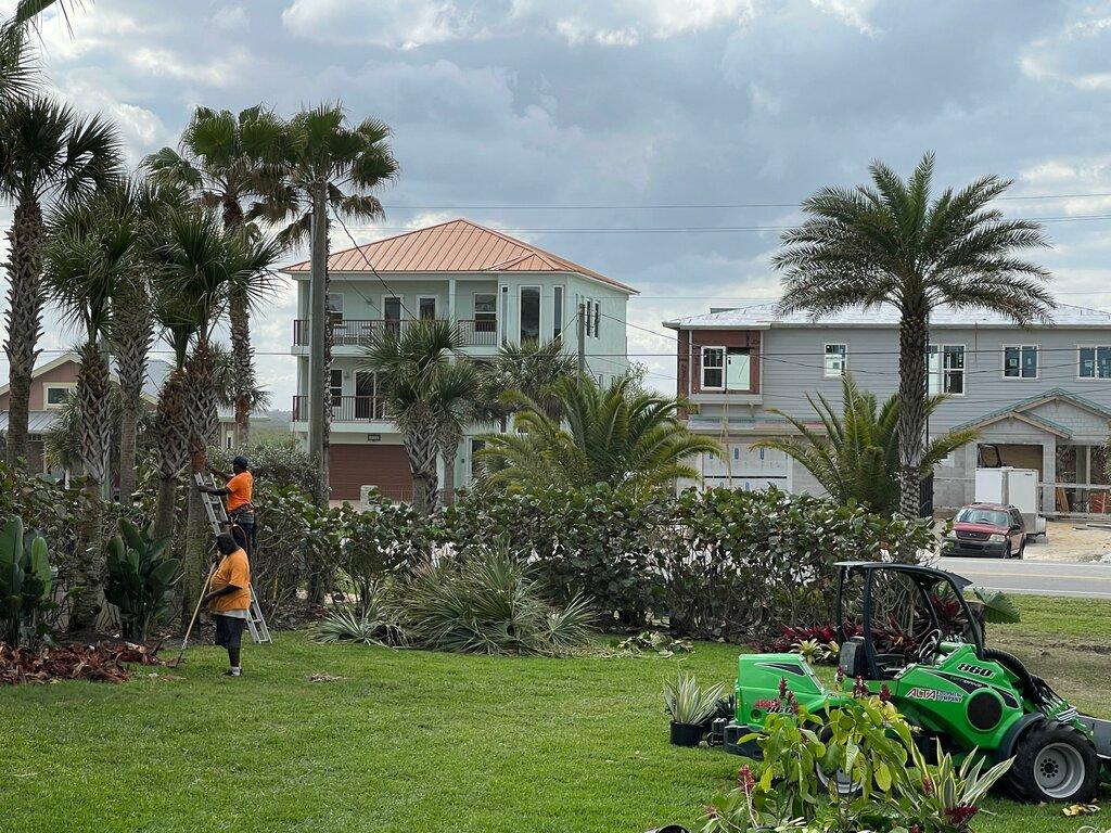 Lnez Environmental & Tree Service